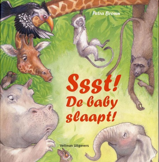 Cover van het boek 'Ssst! De baby slaapt'
