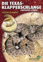 Die Texas-Klapperschlange - Crotalus Atrox