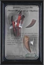 Collecta Prehistory: Main Claw And Hand Replica T-rex 11,5 Cm Marron