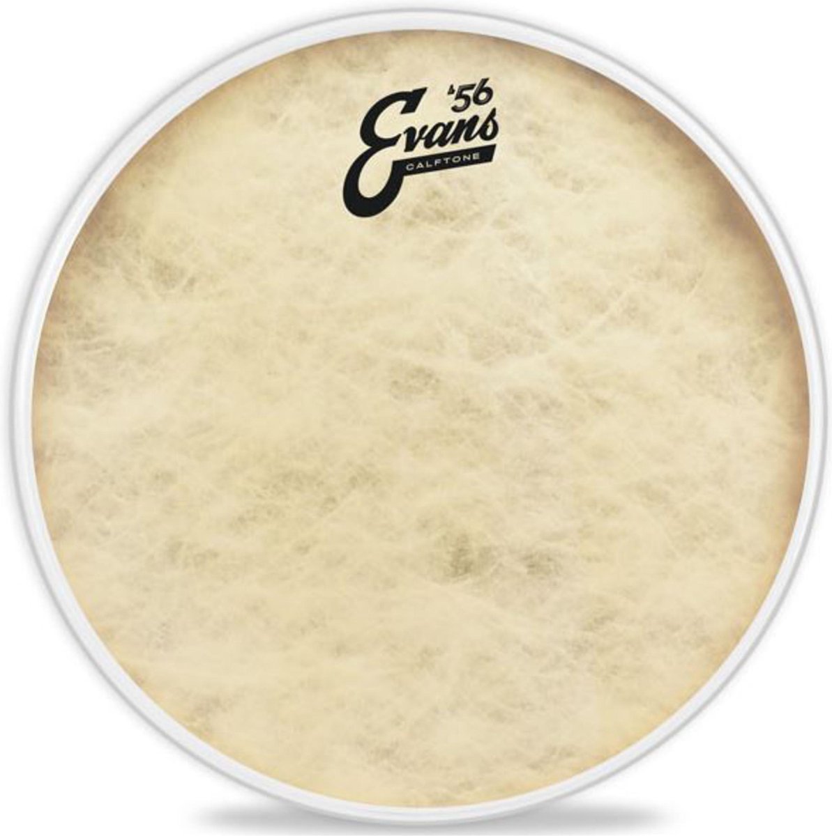 Evans Calftone 8", TT08C7 Tom Batter - Tom vel