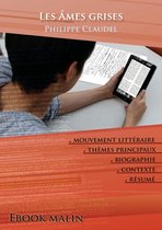 Fiche de lecture Les Âmes grises - Résumé détaillé et analyse littéraire de référence