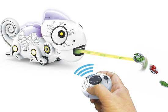 Robo kaméleon, a cuki ragadozó Robo kaméleon, a cuki ragadozó