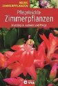 Pflegeleichte Zimmerpflanzen