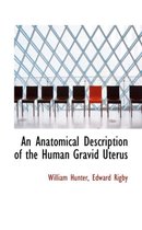 An Anatomical Description of the Human Gravid Uterus