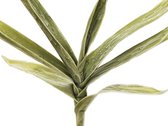 Europalms Yucca - Palmlelie, groen - Kunstbloem