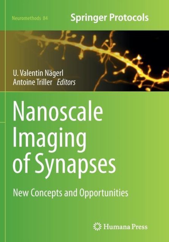 Nanoscale Imaging of Synapses - cover