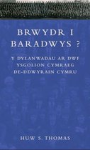 Brwydr i Baradwys?