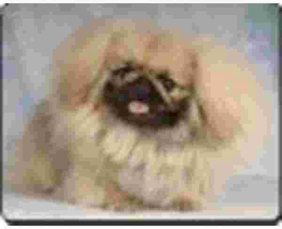 Pekinees Pup Muismat