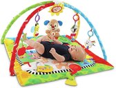 Fisher-Price Speelse Puppy Gym