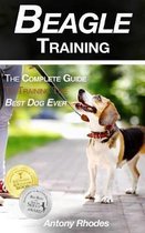 Beagle Training