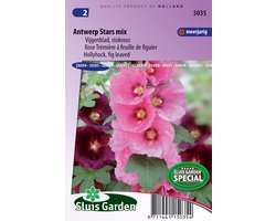 Sluis Garden - Stokroos Antwerp Stars (Alcea rosea)