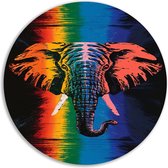 Olifant muurcirkels - Dier wandschaal - Schilderij rond Regenboog - Wanddecoratie modern - Muurdecoratie rond - Kunst aan de muur muurcirkel forex 50x50 cm