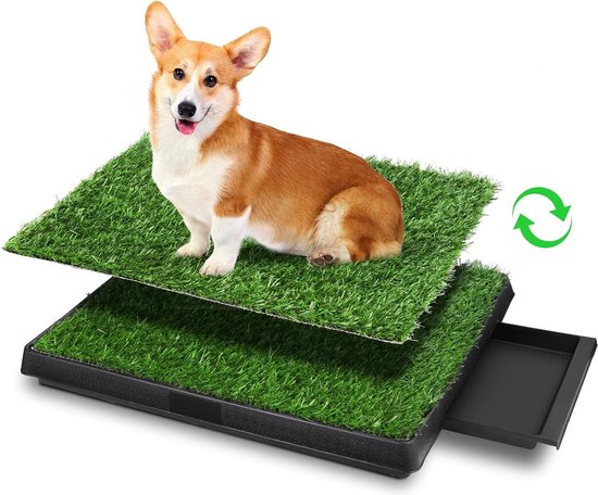 Sailnovo Hundeklo Hunde Toilette Kunstrasen Gras Welpentoilette Trainingsunterlage für Kleine Hunde Grosse Hunde ältere Hunde Tier WC Indoor 63 x 50x 7(L x B x H) cm (2