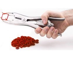 Black Label - Elastrator - Tepel Martel Instrument