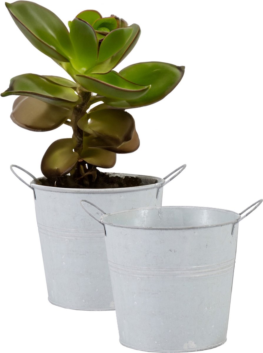 Goedkoopste Mega Collections Emmer/plantenpot/bloempot - 2x - zink - whitewash - D18 x H16 cm