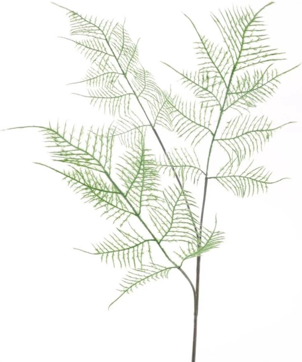 Bellatio Design Kunstbloem Asparagus/sierasperge - 80 cm - groen - losse tak - kunst zijde