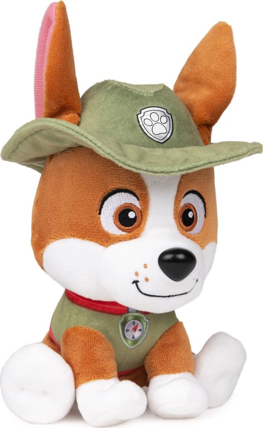 Bruine hond met witte snuit, grote bruine ogen, groene hoed met een pootafdruk en groen vest.