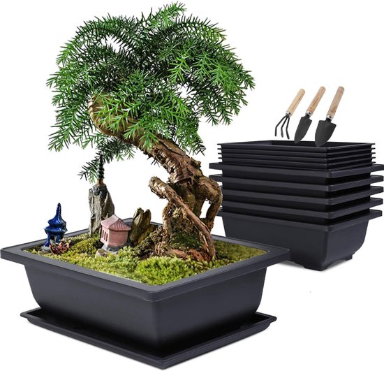 MissFox Bonsai schaal met onderzetter, 6 stuks bloempot vierkant met dienblad en mini-tuingereedschapsset, 12 x 12 x 6 cm bonsaischaal, kunststof plantenpotten voor binnen en buiten