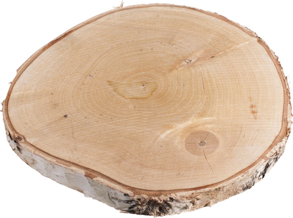 Rayher Decoratie boomschijf met schors - berkenhout - D26 cm - Hobby/Knutselen - Kaarsenplateau - rond