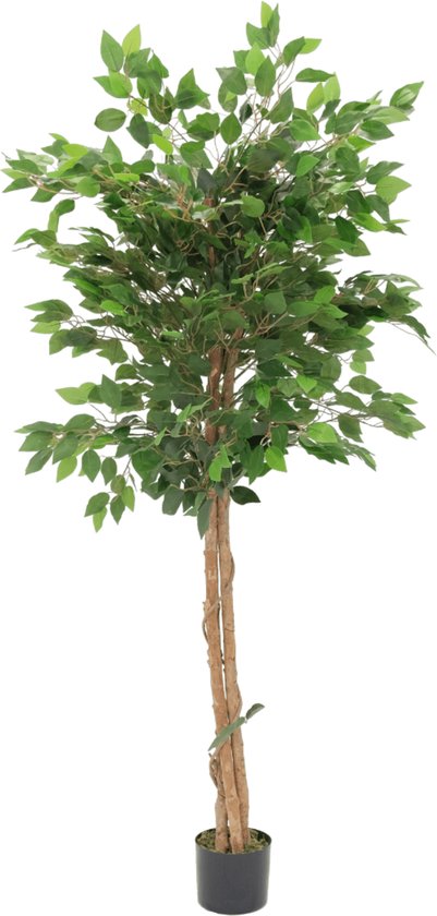 Arbre artificiel Ficus 150cm | Arbre artificiel Ficus avec tronc | Arbre artificiel Ficus pour l'intérieur | Ficus artificiel vert avec tronc