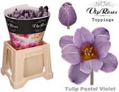DutchFlowers - Boeket - 50x Tulipa pastel violet 30cm