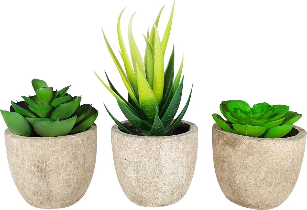3 stuks Kunstplanten - Kamerplanten - Nep planten - Vetplanten - Cadeautip