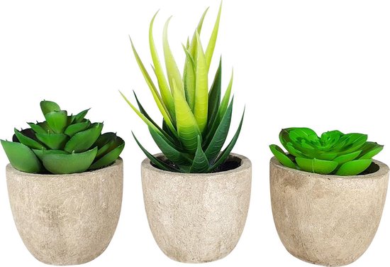 Trois fausses plantes succulentes dans des pots gris. Une grande avec des feuilles pointues jaune-vert et deux plus petites avec des feuilles rondes vertes.