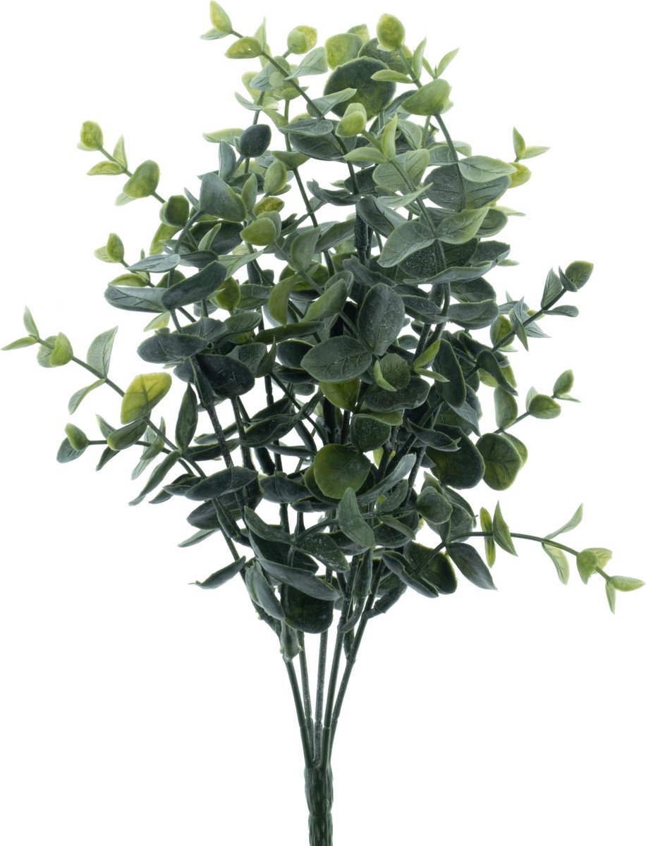 Bellatio Design Kunstplant takken Eucalyptus Cinera - 32 cm 