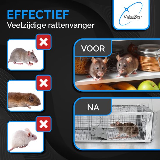 ValueStar Rattenval - Diervriendelijke vangkooi - Rattenkist ...
