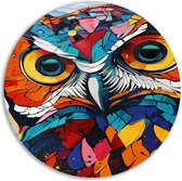 Uil schilderij - Dieren wandschaal - Wandcirkels Patronen - Landelijke schilderijen - Wanddecoratie rond - Muurdecoratie slaapkamer muurcirkel aluminium 50x50 cm