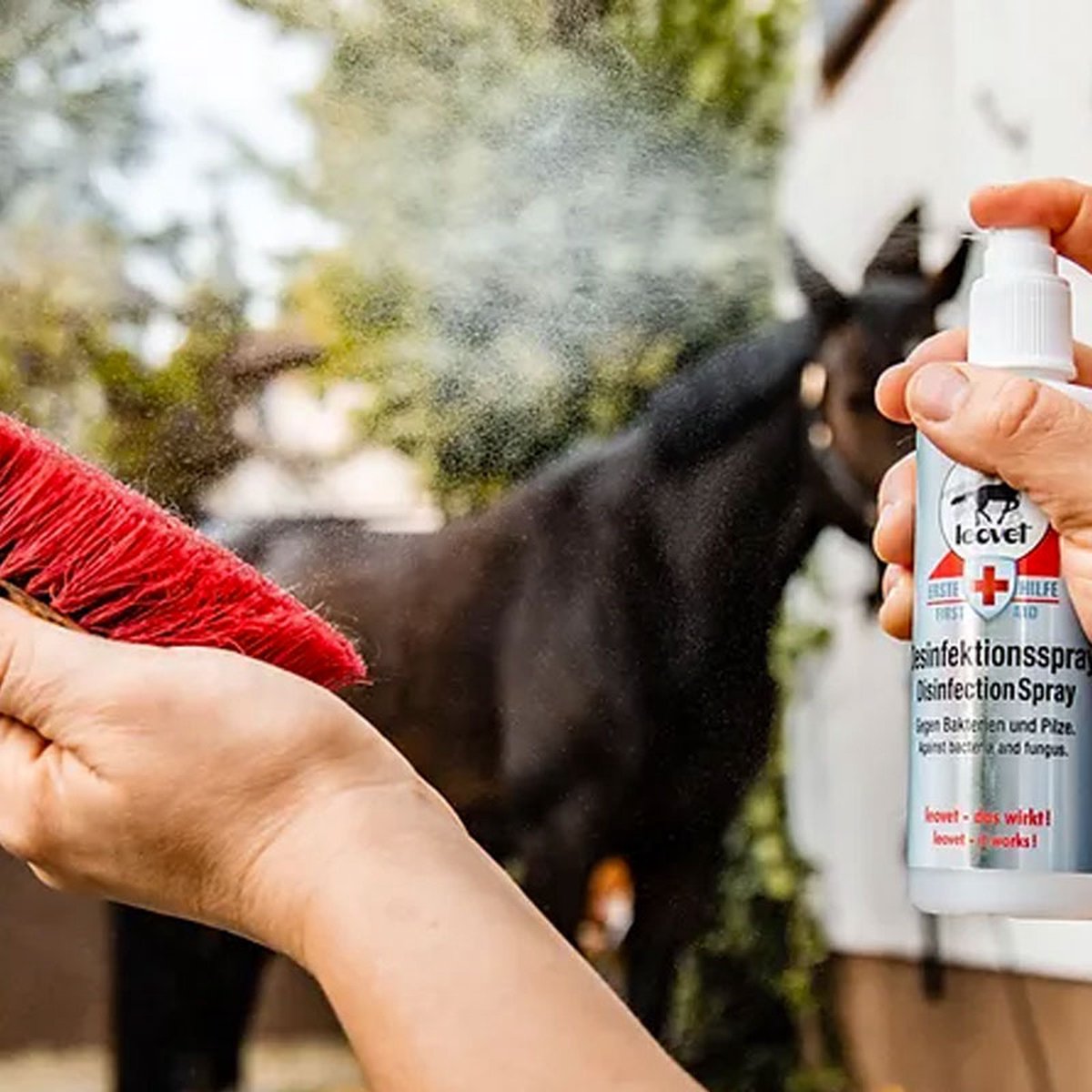 Leovet Desinfectie Spray 200 ml . - 200 ML