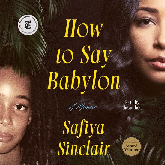 How to Say Babylon - cover
