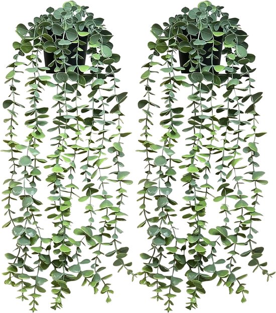 DEMIUKO 2 STKS Kunstmatige Eucalyptus Bloem Slingers Witte Pioen Gebladerte Wijnstok Nep Zijde Bloemen Rozen Slinger 15 FT Groen Bloemen Decoraties voor Indoor Bruiloft Boog Thuis Tuin Party DEMIUKO 2 STKS Kunstmatige Eucalyptus Bloem Slingers Witte Pioen Gebladerte Wijnstok Nep Zijde Bloemen Rozen Slinger 15 FT Groen Bloemen Decoraties voor Indoor Bruiloft Boog Thuis Tuin Party