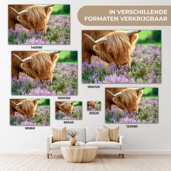 Close-up highlander écossais sent la toile de bruyère violette 2cm