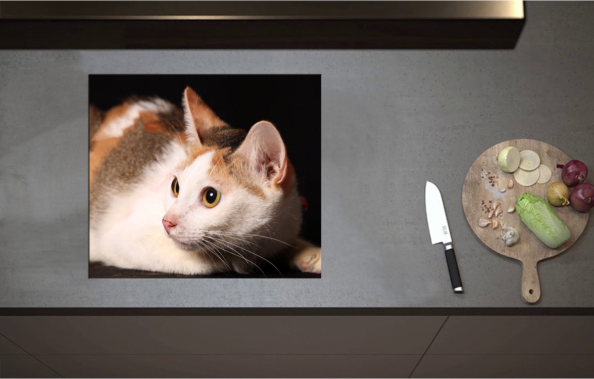 Inductieplaat Beschermer - Calicokat ligt voor zwarte achtergrond en kijkt naar zijkant - 59x52 cm - 2 mm Dik - Inductie Beschermer - Bescherming Inductiekookplaat - Kookplaat Beschermer van Wit Vinyl