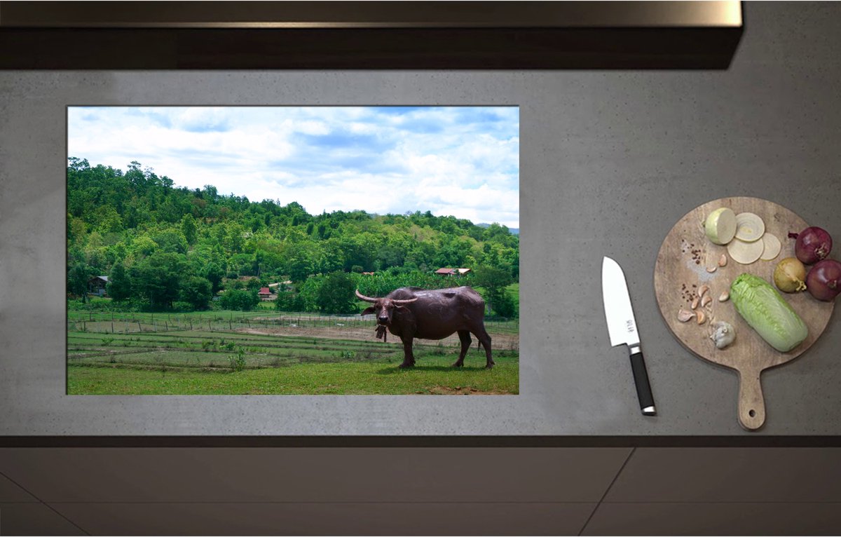 Inductieplaat Beschermer - Buffalo bij Groen Weiland aan de Rand van Bos - 80x52 cm - 2 mm Dik - Inductie Beschermer - Bescherming Inductiekookplaat - Kookplaat Beschermer van Zwart Vinyl