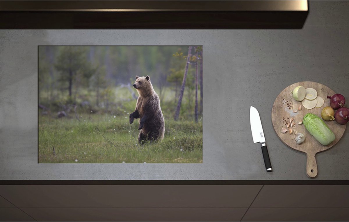 Inductieplaat Beschermer - Bruine Beer Staand in de Bossen - 71x51 cm - 2 mm Dik - Inductie Beschermer - Bescherming Inductiekookplaat - Kookplaat Beschermer van Zwart Vinyl