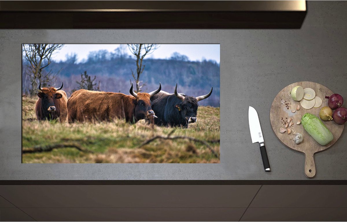 Inductieplaat Beschermer - Bruine en zwarte stieren staan in de natuur - 85x52 cm - 2 mm Dik - Inductie Beschermer - Bescherming Inductiekookplaat - Kookplaat Beschermer van Wit Vinyl