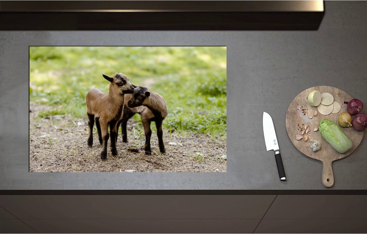 Inductieplaat Beschermer - Bruin met Zwarte Kussende Lammetjes - 80x52 cm - 2 mm Dik - Inductie Beschermer - Bescherming Inductiekookplaat - Kookplaat Beschermer van Wit Vinyl