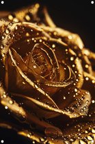 Affiche de jardin Rose - Affiche Fleur - Affiche de jardin Gouttes d'eau - Jardin - Peintures de jardin - Affiche de jardin décoration de jardin 50 x 75 cm