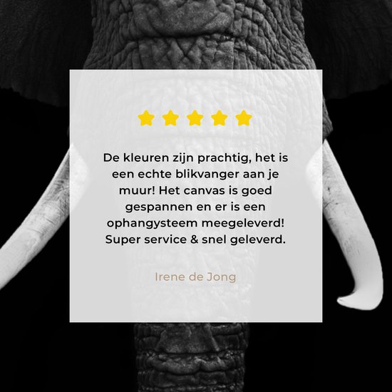 Toile - Animaux - Éléphant - Zwart - Wit - Décoration Décoration murale - 120x180 cm - Photo sur toile - Peintures sur toile salon