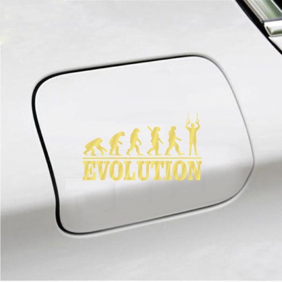 Foto: Bumpersticker evolution turnringen 20x9 3 goud