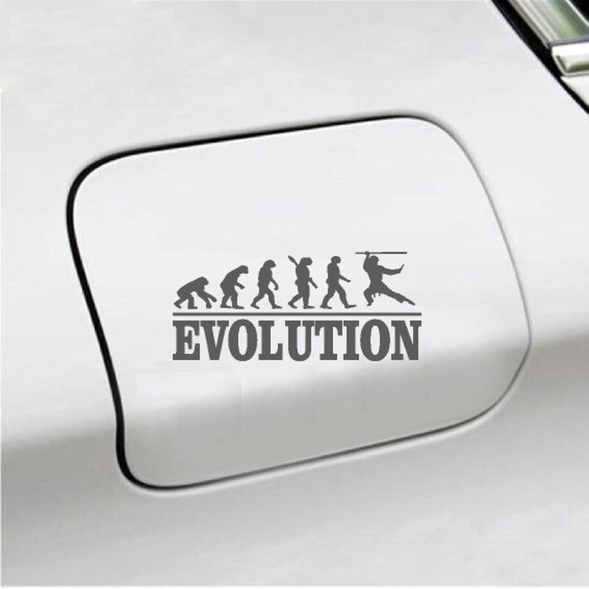 Bumpersticker - Evolution Ninja - 20x9.3 - Antraciet