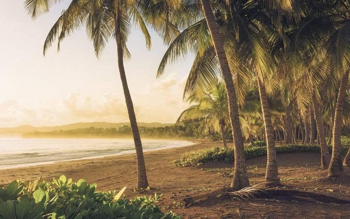 Fotobehang - Golden Lands 400x250cm - Vliesbehang