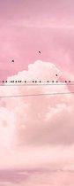 Komar Cloud Wire Vlies Fotobehang 100x250cm 1-baan