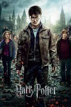 Harry Potter Poster - Part - 91.5 X 61 Cm - Multicolor