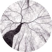 Wizard+Genius Inside the Trees Vlies Fotobehang 140x140cm rond