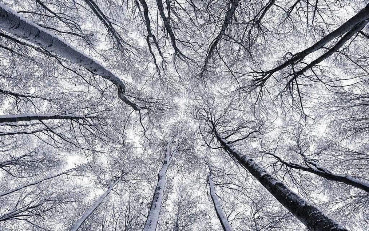 Fotobehang - Up 400x250cm - Vliesbehang