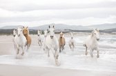 Fotobehang White Horses