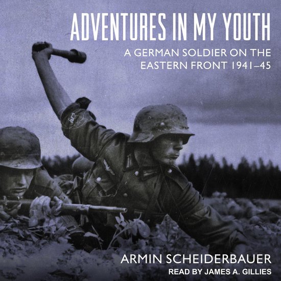 Adventures in My Youth - cover